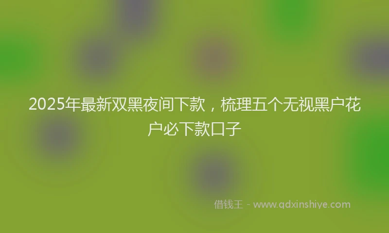 2025年最新双黑夜间下款，梳理五个无视黑户花户必下款口子