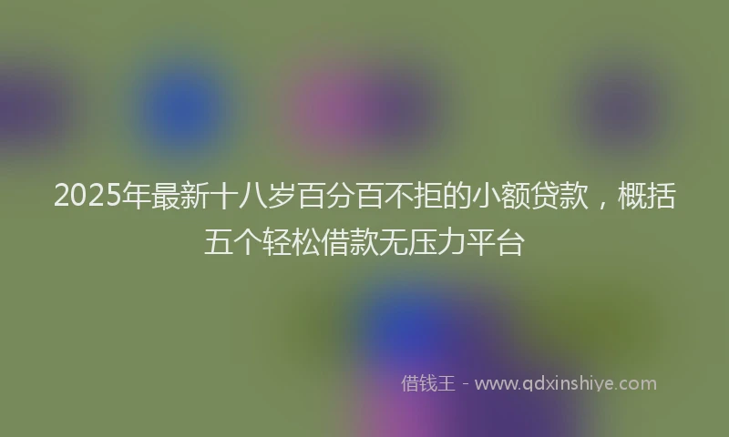 2025年最新十八岁百分百不拒的小额贷款，概括五个轻松借款无压力平台