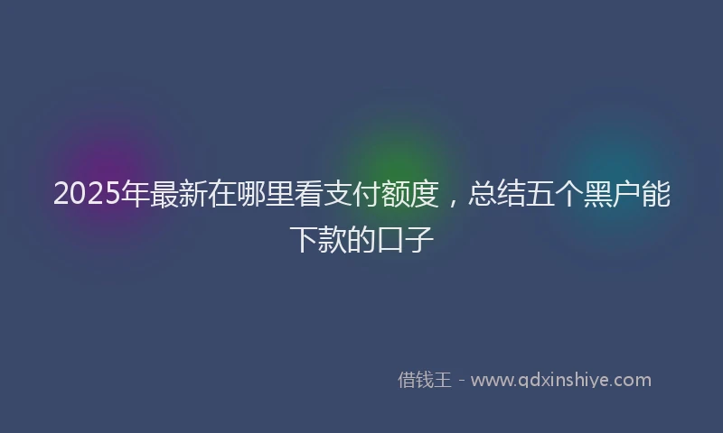 2025年最新在哪里看支付额度，总结五个黑户能下款的口子