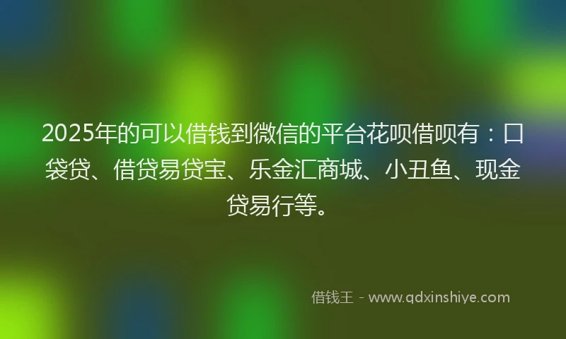 2025年的可以借钱到微信的平台花呗借呗有：口袋贷、借贷易贷宝、乐金汇商城、小丑鱼、现金贷易行等。