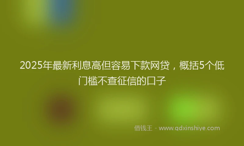 2025年最新利息高但容易下款网贷，概括5个低门槛不查征信的口子