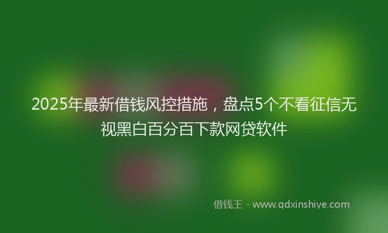 2025年最新借钱风控措施，盘点5个不看征信无视黑白百分百下款网贷软件