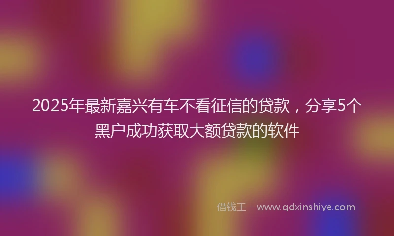 2025年最新嘉兴有车不看征信的贷款，分享5个黑户成功获取大额贷款的软件