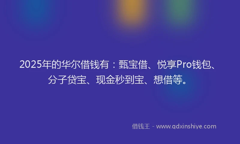 2025年的华尔借钱有：甄宝借、悦享Pro钱包、分子贷宝、现金秒到宝、想借等。