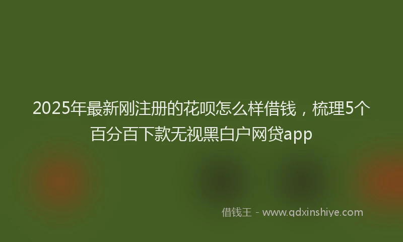 2025年最新刚注册的花呗怎么样借钱，梳理5个百分百下款无视黑白户网贷app
