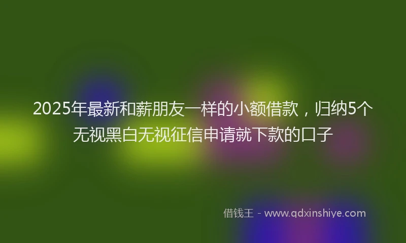 2025年最新和薪朋友一样的小额借款，归纳5个无视黑白无视征信申请就下款的口子