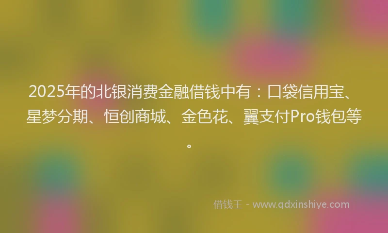 2025年的北银消费金融借钱中有：口袋信用宝、星梦分期、恒创商城、金色花、翼支付Pro钱包等。