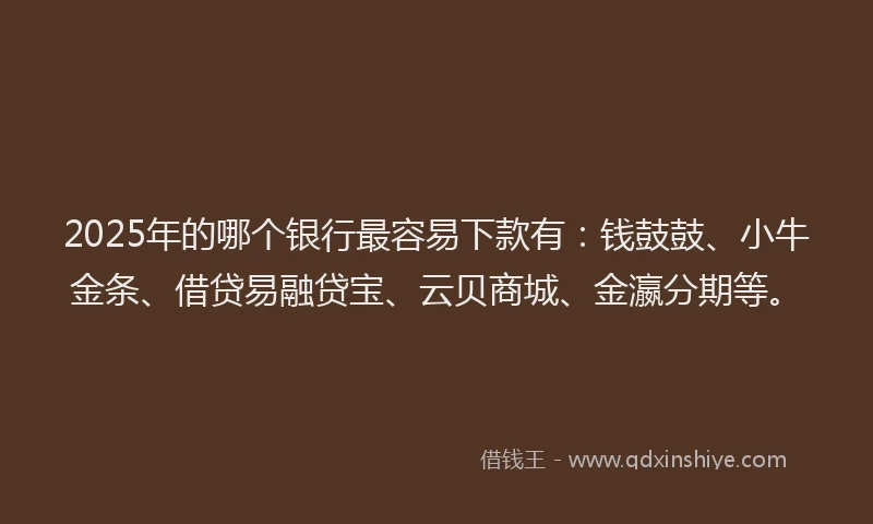 2025年的哪个银行最容易下款有：钱鼓鼓、小牛金条、借贷易融贷宝、云贝商城、金瀛分期等。