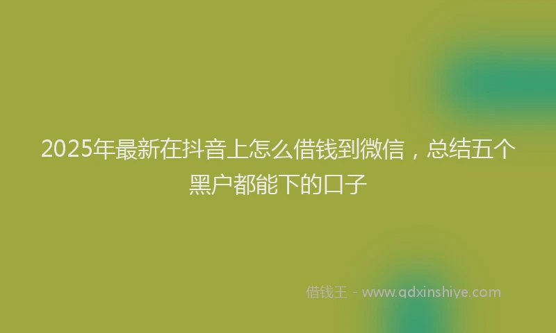 2025年最新在抖音上怎么借钱到微信，总结五个黑户都能下的口子