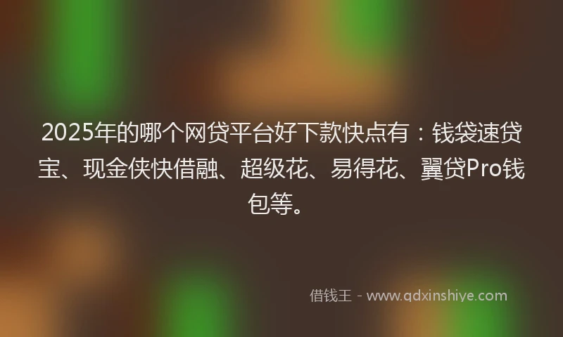 2025年的哪个网贷平台好下款快点有：钱袋速贷宝、现金侠快借融、超级花、易得花、翼贷Pro钱包等。