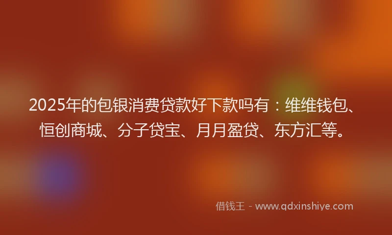 2025年的包银消费贷款好下款吗有：维维钱包、恒创商城、分子贷宝、月月盈贷、东方汇等。