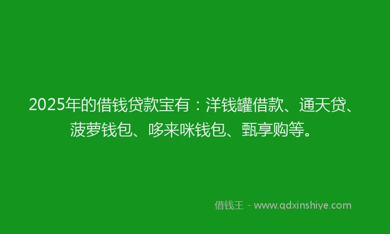 2025年的借钱贷款宝有：洋钱罐借款、通天贷、菠萝钱包、哆来咪钱包、甄享购等。