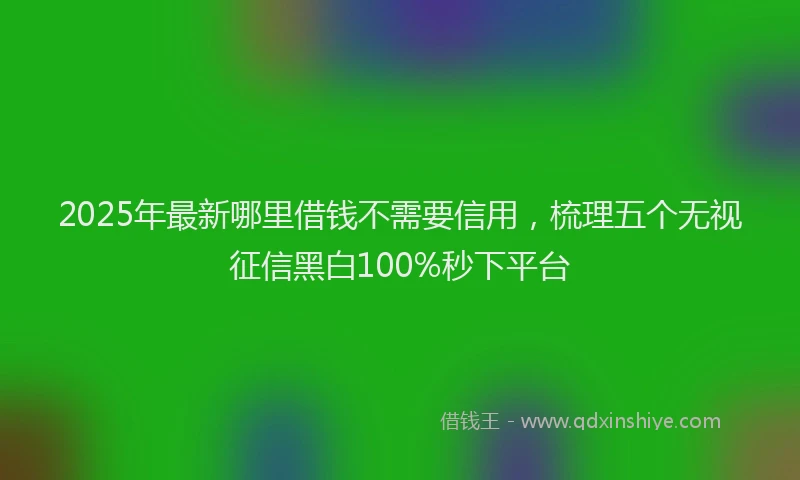 2025年最新哪里借钱不需要信用，梳理五个无视征信黑白100%秒下平台