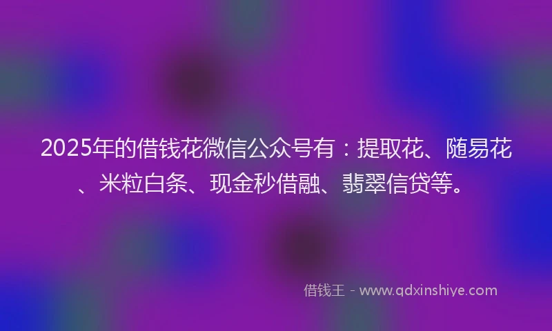 2025年的借钱花微信公众号有：提取花、随易花、米粒白条、现金秒借融、翡翠信贷等。
