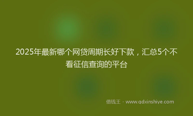 2025年最新哪个网贷周期长好下款，汇总5个不看征信查询的平台