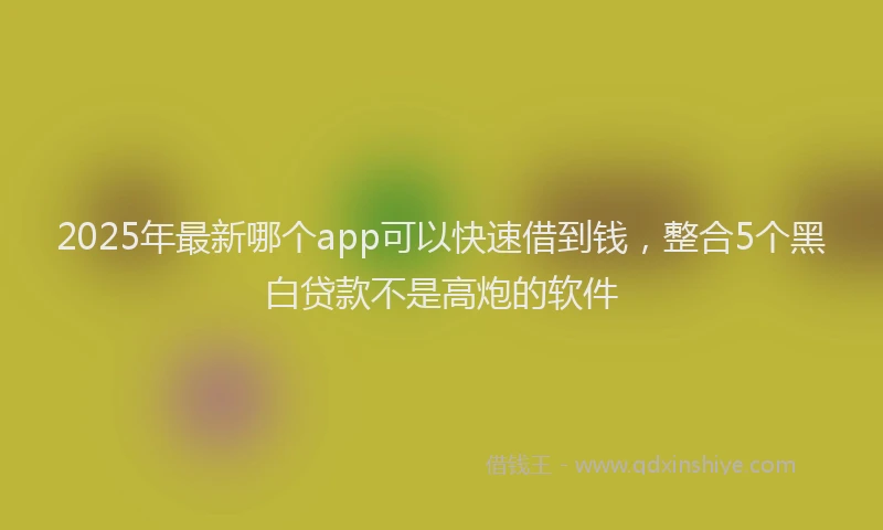 2025年最新哪个app可以快速借到钱，整合5个黑白贷款不是高炮的软件