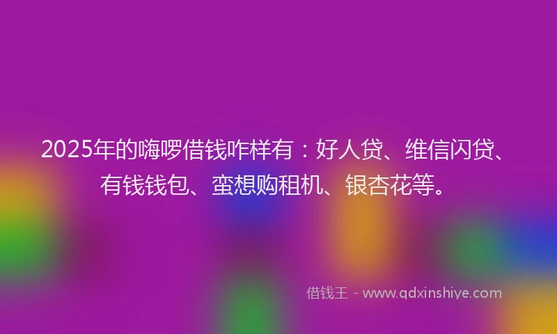 2025年的嗨啰借钱咋样有：好人贷、维信闪贷、有钱钱包、蛮想购租机、银杏花等。