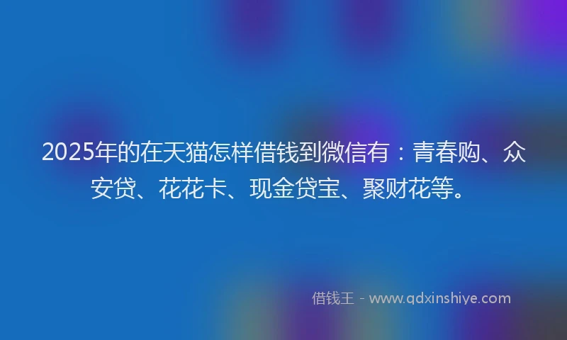 2025年的在天猫怎样借钱到微信有：青春购、众安贷、花花卡、现金贷宝、聚财花等。