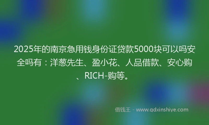 2025年的南京急用钱身份证贷款5000块可以吗安全吗有：洋葱先生、盈小花、人品借款、安心购、RICH-购等。