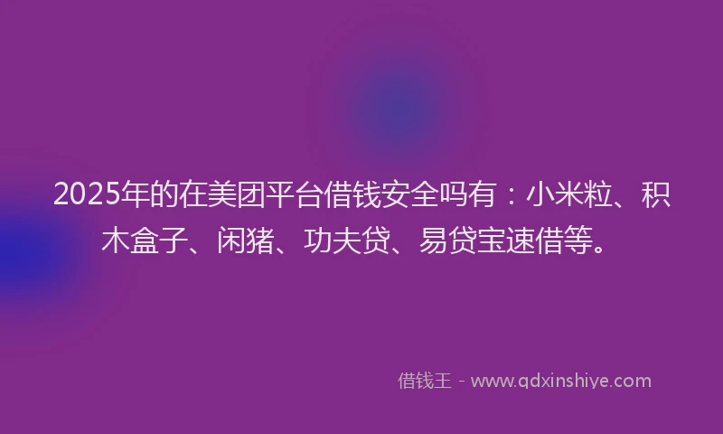 2025年的在美团平台借钱安全吗有：小米粒、积木盒子、闲猪、功夫贷、易贷宝速借等。