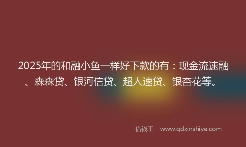 2025年的和融小鱼一样好下款的有：现金流速融、森森贷、银河信贷、超人速贷、银杏花等。