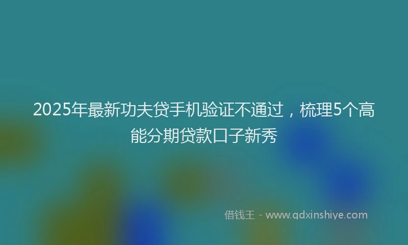 2025年最新功夫贷手机验证不通过，梳理5个高能分期贷款口子新秀