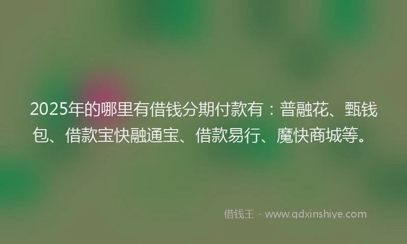 2025年的哪里有借钱分期付款有：普融花、甄钱包、借款宝快融通宝、借款易行、魔快商城等。