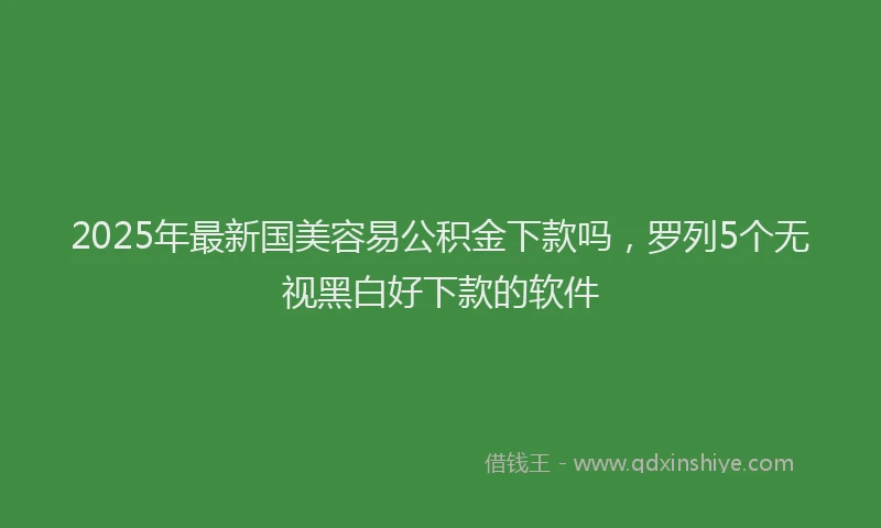 2025年最新国美容易公积金下款吗，罗列5个无视黑白好下款的软件