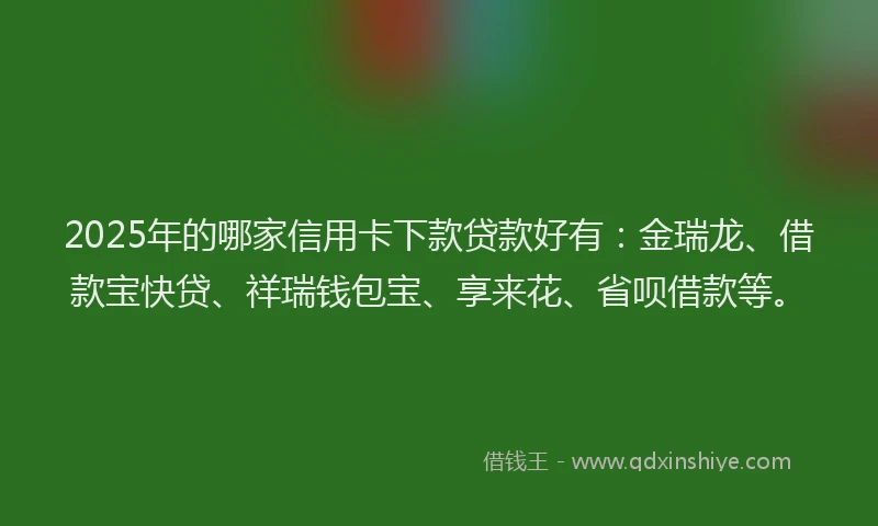 2025年的哪家信用卡下款贷款好有：金瑞龙、借款宝快贷、祥瑞钱包宝、享来花、省呗借款等。