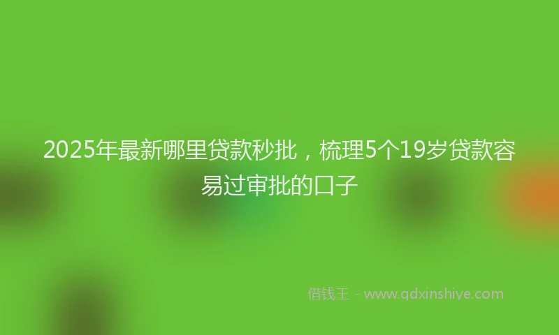 2025年最新哪里贷款秒批，梳理5个19岁贷款容易过审批的口子
