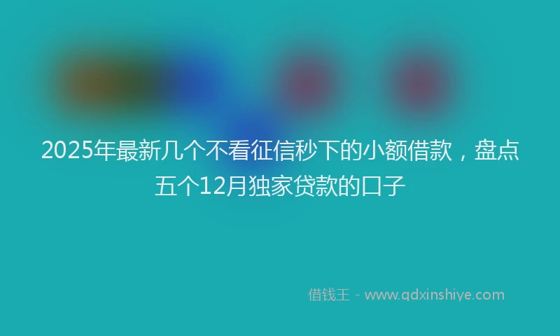 2025年最新几个不看征信秒下的小额借款，盘点五个12月独家贷款的口子