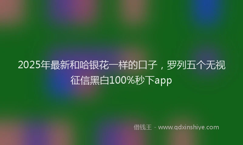 2025年最新和哈银花一样的口子，罗列五个无视征信黑白100%秒下app