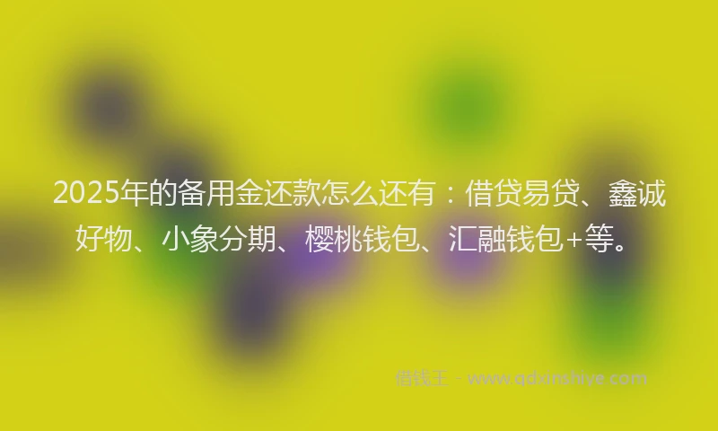 2025年的备用金还款怎么还有：借贷易贷、鑫诚好物、小象分期、樱桃钱包、汇融钱包+等。