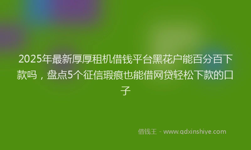 2025年最新厚厚租机借钱平台黑花户能百分百下款吗，盘点5个征信瑕疵也能借网贷轻松下款的口子