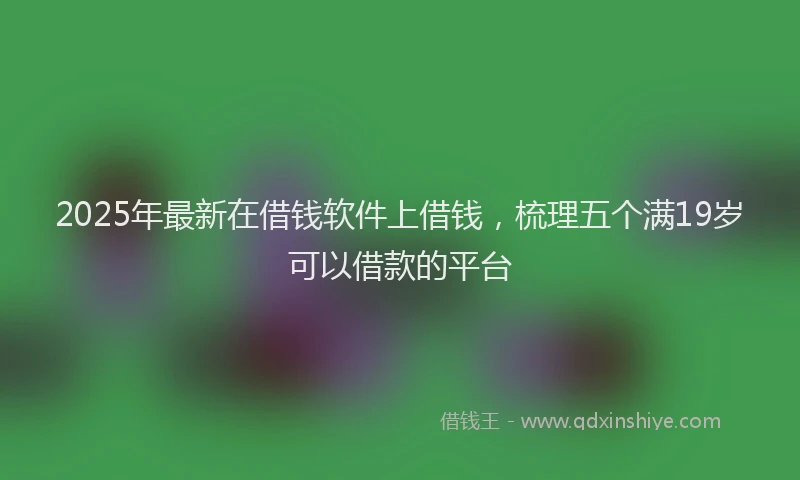 2025年最新在借钱软件上借钱，梳理五个满19岁可以借款的平台