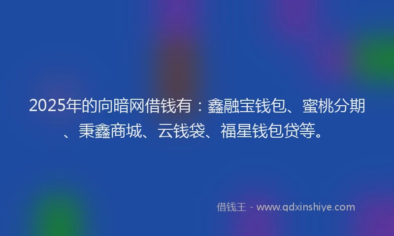 2025年的向暗网借钱有：鑫融宝钱包、蜜桃分期、秉鑫商城、云钱袋、福星钱包贷等。