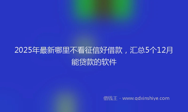 2025年最新哪里不看征信好借款，汇总5个12月能贷款的软件