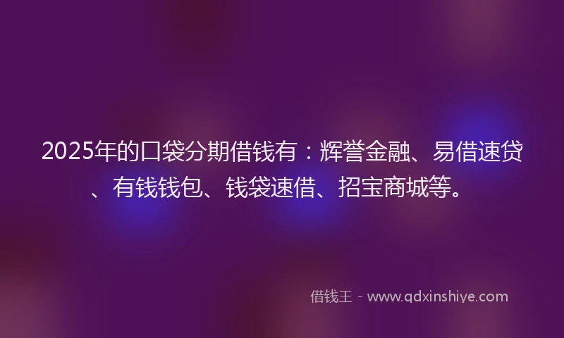 2025年的口袋分期借钱有：辉誉金融、易借速贷、有钱钱包、钱袋速借、招宝商城等。