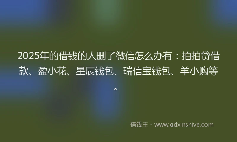 2025年的借钱的人删了微信怎么办有：拍拍贷借款、盈小花、星辰钱包、瑞信宝钱包、羊小购等。