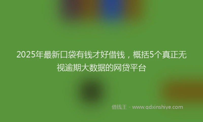 2025年最新口袋有钱才好借钱，概括5个真正无视逾期大数据的网贷平台