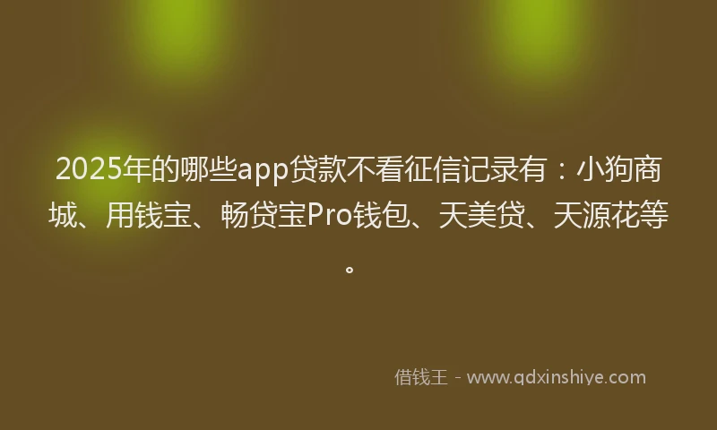 2025年的哪些app贷款不看征信记录有：小狗商城、用钱宝、畅贷宝Pro钱包、天美贷、天源花等。