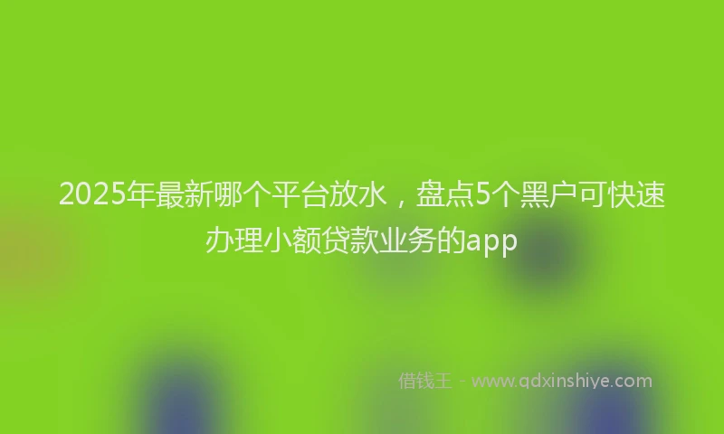 2025年最新哪个平台放水，盘点5个黑户可快速办理小额贷款业务的app
