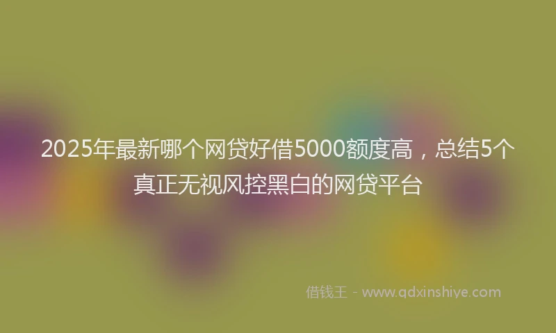 2025年最新哪个网贷好借5000额度高，总结5个真正无视风控黑白的网贷平台