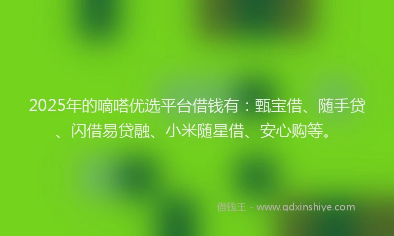 2025年的嘀嗒优选平台借钱有：甄宝借、随手贷、闪借易贷融、小米随星借、安心购等。