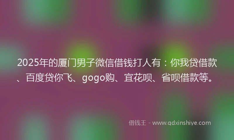 2025年的厦门男子微信借钱打人有：你我贷借款、百度贷你飞、gogo购、宜花呗、省呗借款等。