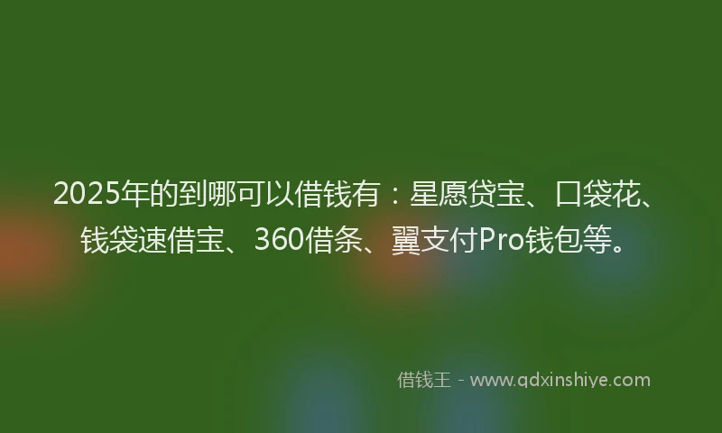 2025年的到哪可以借钱有：星愿贷宝、口袋花、钱袋速借宝、360借条、翼支付Pro钱包等。