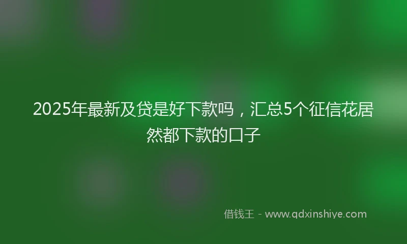 2025年最新及贷是好下款吗，汇总5个征信花居然都下款的口子