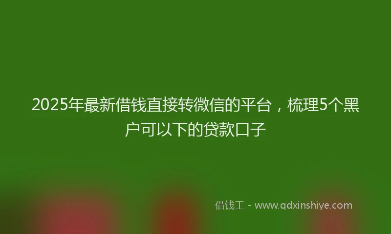 2025年最新借钱直接转微信的平台，梳理5个黑户可以下的贷款口子
