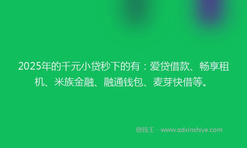 2025年的千元小贷秒下的有：爱贷借款、畅享租机、米族金融、融通钱包、麦芽快借等。