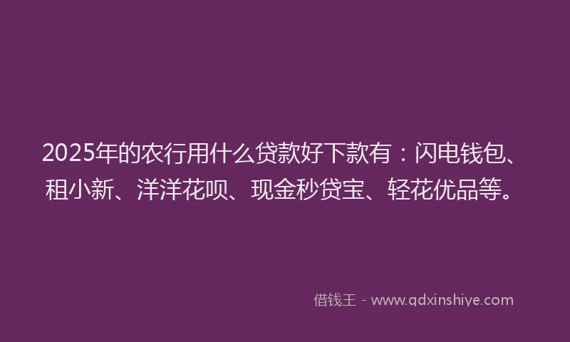 2025年的农行用什么贷款好下款有：闪电钱包、租小新、洋洋花呗、现金秒贷宝、轻花优品等。